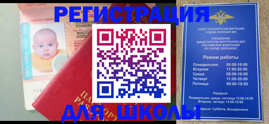 временная регистрация гарантия в Заинске